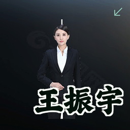 王振宇